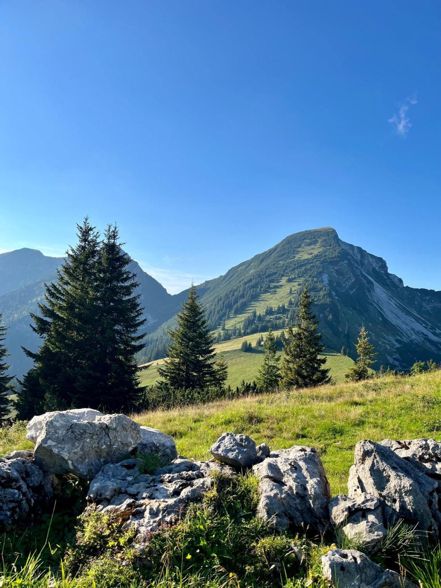 Apartamento Ferien Am Sonnberg Unken Exterior foto